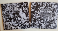 HATEFILLED - 12'' LP - Totally Disfigured Carnage