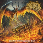INCESTUOUS IMPREGNATION - CD - Gnashed Between Unholy Jaws
