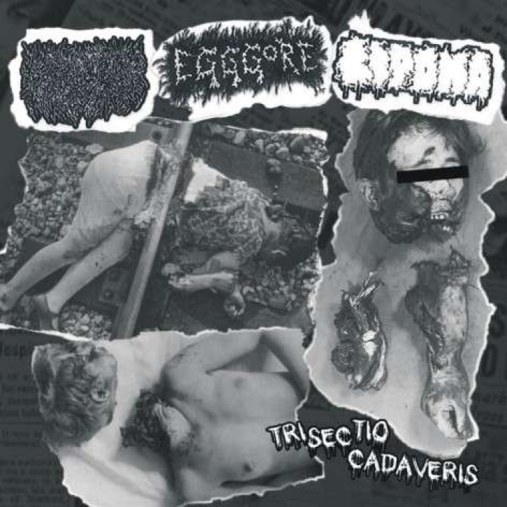 LIQUID VISCERA / EGGGORE / LIPOMA - 3 way split CD -