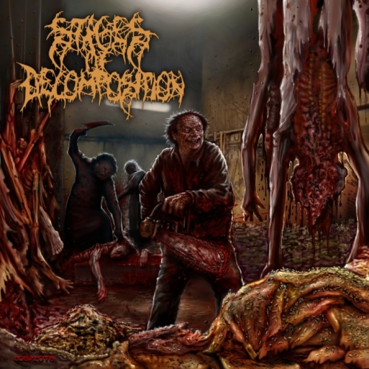STAGES OF DECOMPOSITION - CD - Piles Of Rotting Flesh
