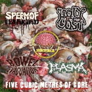 V/A: "Five Cubic Metres Of Gore" - CD - SPERM OF MANKIND / HOLY COST / CEREBRAL ENEMA / BOWEL EVACUATION / PLASMA
