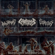 V/A: Subjected To Insanity Through Solitary Confinement - 3way split CD - with. ANAL STABWOUND / CARNIFLOOR / GORECUNT