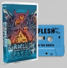 BIRDFLESH - Cassette Tape - Sickness In The North