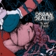 ORGAN DEALER - 12'' LP - The Weight Of Being (Truth Blinder Edition, Blue-Red-White Splatter Vinyl)